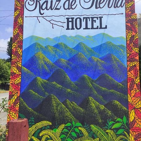 Hotel Raiz De Sierra Matlapa Ngoại thất bức ảnh