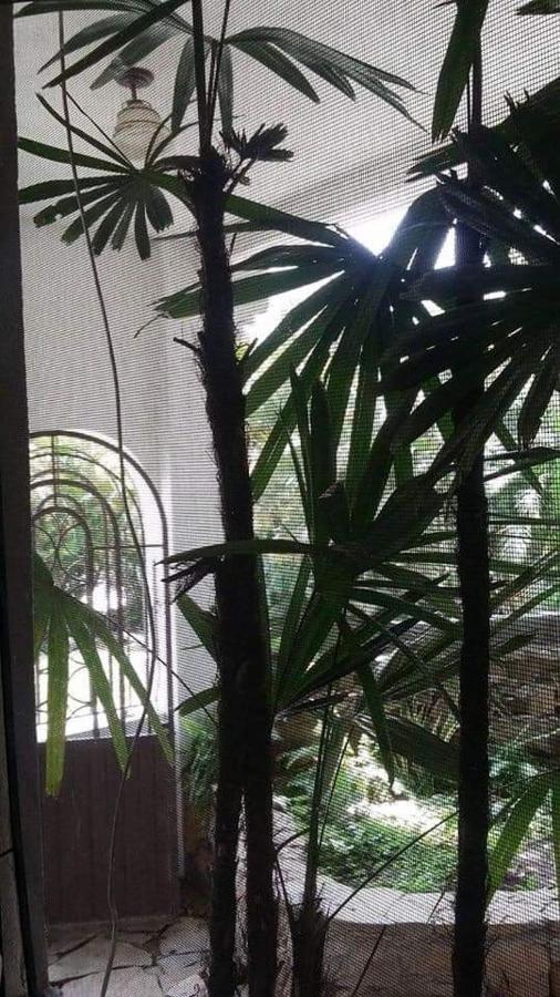 Hotel Raiz De Sierra Matlapa Ngoại thất bức ảnh