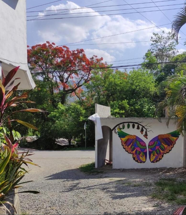 Hotel Raiz De Sierra Matlapa Ngoại thất bức ảnh