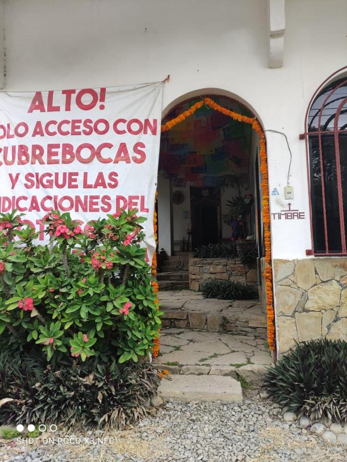 Hotel Raiz De Sierra Matlapa Ngoại thất bức ảnh