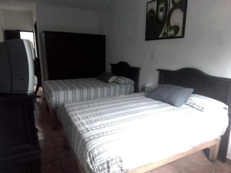 Hotel Raiz De Sierra Matlapa Ngoại thất bức ảnh